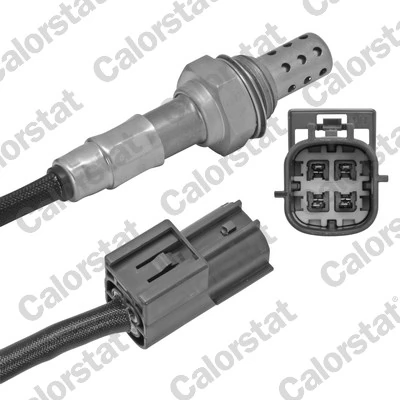 Oxygen Sensor